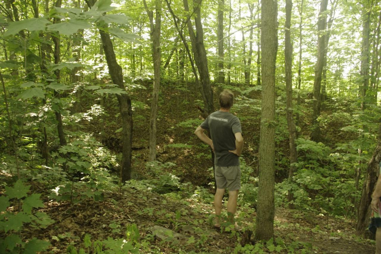 Gite Au Pied Des Appalaches Sainte-Sophie-D'Halifax Exteriör bild