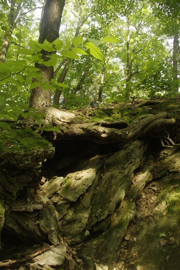 Gite Au Pied Des Appalaches Sainte-Sophie-D'Halifax Exteriör bild